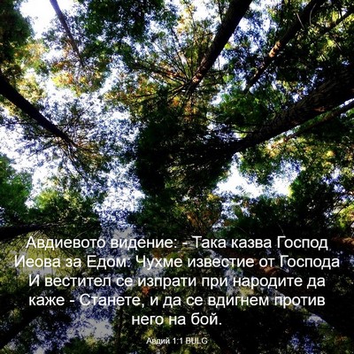 Picture 03 - Авдий 1:1 BULG - Авдиевото видение: - Така - Bible Verse Picture