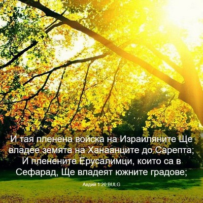 Picture 03 - Авдий 1:20 BULG - И тая пленена войска на - Bible Verse Picture
