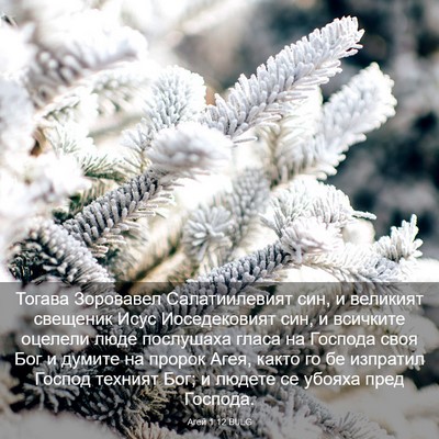 Picture 03 - Агей 1:12 BULG - Тогава Зоровавел - Bible Verse Picture