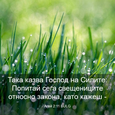 Picture 03 - Агей 2:11 BULG - Така казва Господ на - Bible Verse Picture