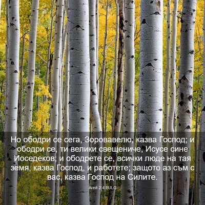 Picture 03 - Агей 2:4 BULG - Но ободри се сега, - Bible Verse Picture