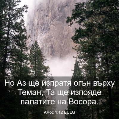 Picture 03 - Амос 1:12 BULG - Но Аз ще изпратя огън върху - Bible Verse Picture