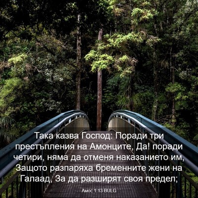 Picture 03 - Амос 1:13 BULG - Така казва Господ: Поради - Bible Verse Picture