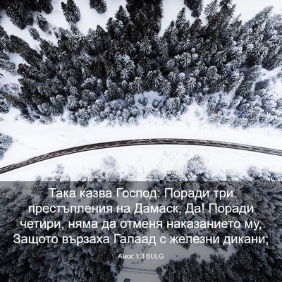 Picture 03 - Амос 1:3 BULG - Така казва Господ: Поради - Bible Verse Picture