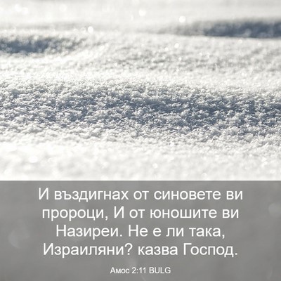 Picture 03 - Амос 2:11 BULG - И въздигнах от синовете ви - Bible Verse Picture