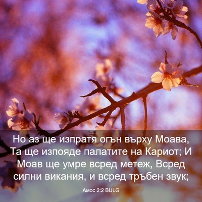Picture 03 - Амос 2:2 BULG - Но аз ще изпратя огън върху - Bible Verse Picture