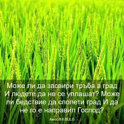 Picture 03 - Амос 3:6 BULG - Може ли да засвири тръба в - Bible Verse Picture