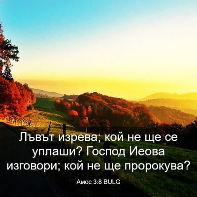 Picture 03 - Амос 3:8 BULG - Лъвът изрева; кой не ще се - Bible Verse Picture