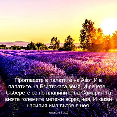 Picture 03 - Амос 3:9 BULG - Прогласете в палатите на - Bible Verse Picture
