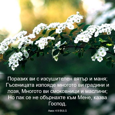 Picture 03 - Амос 4:9 BULG - Поразих ви с изсушителен - Bible Verse Picture
