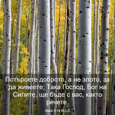 Picture 03 - Амос 5:14 BULG - Потърсете доброто, а не - Bible Verse Picture