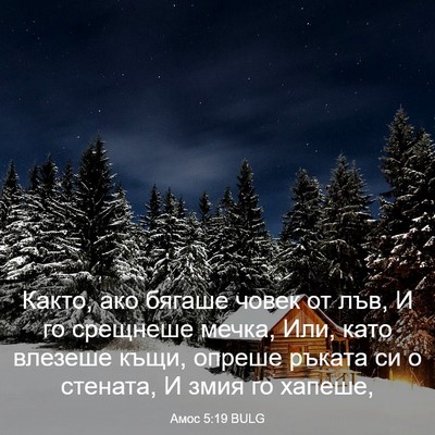 Picture 03 - Амос 5:19 BULG - Както, ако бягаше човек от - Bible Verse Picture