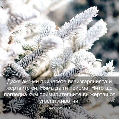 Picture 03 - Амос 5:22 BULG - Даже ако ми принесете - Bible Verse Picture