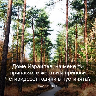 Picture 03 - Амос 5:25 BULG - Доме Израилев, на мене ли - Bible Verse Picture