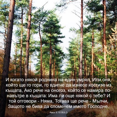 Picture 03 - Амос 6:10 BULG - И когато някой роднина на - Bible Verse Picture