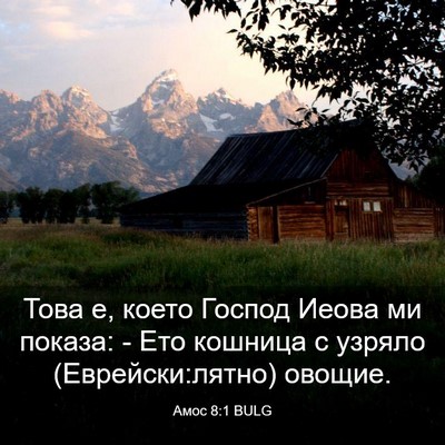 Picture 03 - Амос 8:1 BULG - Това е, което Господ Иеова - Bible Verse Picture