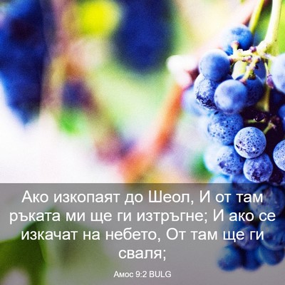 Picture 03 - Амос 9:2 BULG - Ако изкопаят до Шеол, И от - Bible Verse Picture