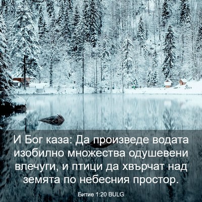 Picture 03 - Битие 1:20 BULG - И Бог каза: Да произведе - Bible Verse Picture