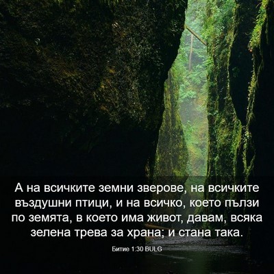 Picture 03 - Битие 1:30 BULG - А на всичките земни - Bible Verse Picture