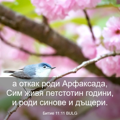 Picture 03 - Битие 11:11 BULG - а откак роди Арфаксада, Сим - Bible Verse Picture