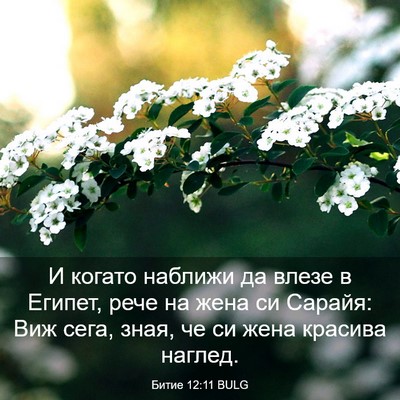 Picture 03 - Битие 12:11 BULG - И когато наближи да влезе в - Bible Verse Picture