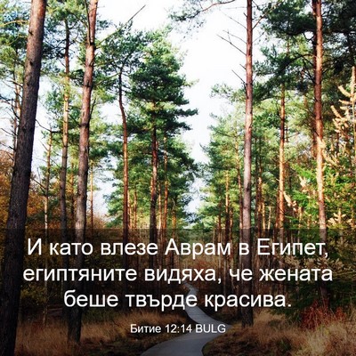 Picture 03 - Битие 12:14 BULG - И като влезе Аврам в - Bible Verse Picture