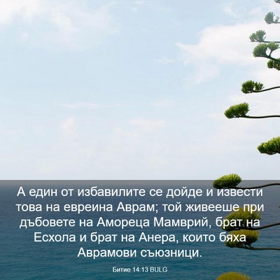 Picture 03 - Битие 14:13 BULG - А един от избавилите се - Bible Verse Picture
