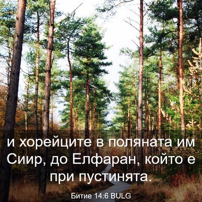 Picture 03 - Битие 14:6 BULG - и хорейците в поляната им - Bible Verse Picture
