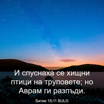 Picture 03 - Битие 15:11 BULG - И спуснаха се хищни птици - Bible Verse Picture