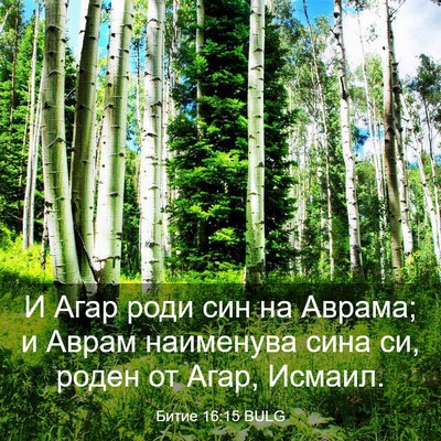 Picture 03 - Битие 16:15 BULG - И Агар роди син на Аврама; и - Bible Verse Picture