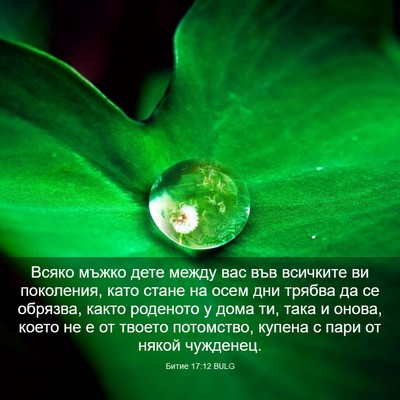 Picture 03 - Битие 17:12 BULG - Всяко мъжко дете между вас - Bible Verse Picture