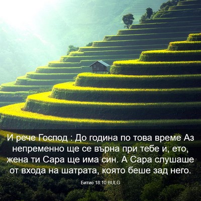 Picture 03 - Битие 18:10 BULG - И рече Господ : До година по - Bible Verse Picture