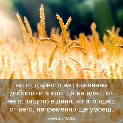 Picture 03 - Битие 2:17 BULG - но от дървото на познаване - Bible Verse Picture