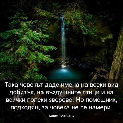 Picture 03 - Битие 2:20 BULG - Така човекът даде имена на - Bible Verse Picture