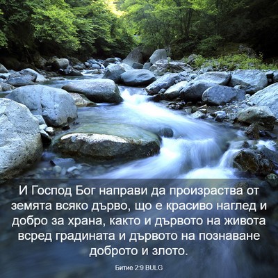 Picture 03 - Битие 2:9 BULG - И Господ Бог направи да - Bible Verse Picture