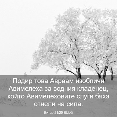 Picture 03 - Битие 21:25 BULG - Подир това Авраам изобличи - Bible Verse Picture