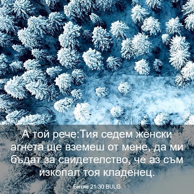 Picture 03 - Битие 21:30 BULG - А той рече:Тия седем женски - Bible Verse Picture