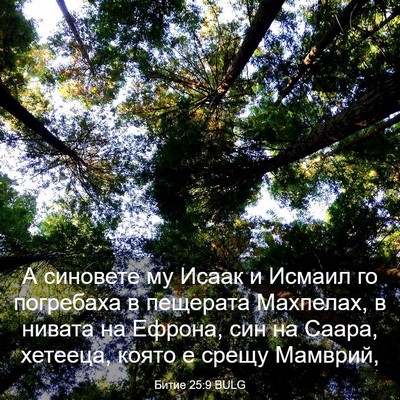 Picture 03 - Битие 25:9 BULG - А синовете му Исаак и - Bible Verse Picture