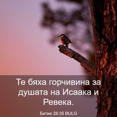 Picture 03 - Битие 26:35 BULG - Те бяха горчивина за - Bible Verse Picture