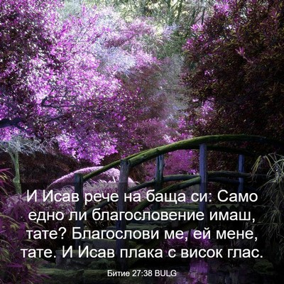 Picture 03 - Битие 27:38 BULG - И Исав рече на баща си: Само - Bible Verse Picture