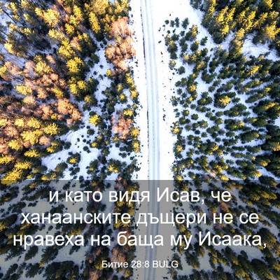 Picture 03 - Битие 28:8 BULG - и като видя Исав, че - Bible Verse Picture