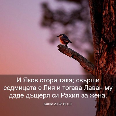 Picture 03 - Битие 29:28 BULG - И Яков стори така; свърши - Bible Verse Picture