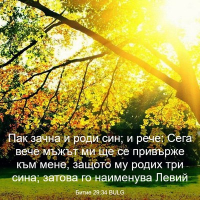 Picture 03 - Битие 29:34 BULG - Пак зачна и роди син; и - Bible Verse Picture