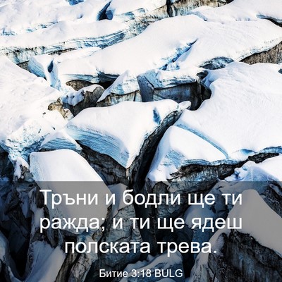Picture 03 - Битие 3:18 BULG - Тръни и бодли ще ти ражда; и - Bible Verse Picture