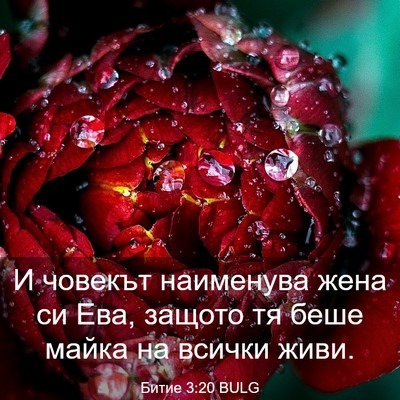 Picture 03 - Битие 3:20 BULG - И човекът наименува жена - Bible Verse Picture