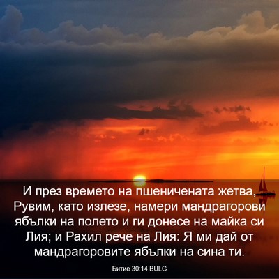 Picture 03 - Битие 30:14 BULG - И през времето на - Bible Verse Picture