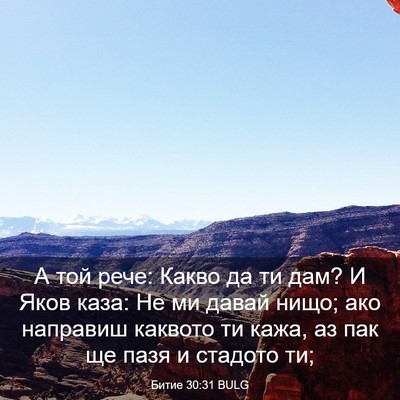 Picture 03 - Битие 30:31 BULG - А той рече: Какво да ти дам? - Bible Verse Picture