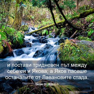 Picture 03 - Битие 30:36 BULG - и постави тридневен път - Bible Verse Picture