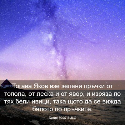 Picture 03 - Битие 30:37 BULG - Тогава Яков взе зелени - Bible Verse Picture