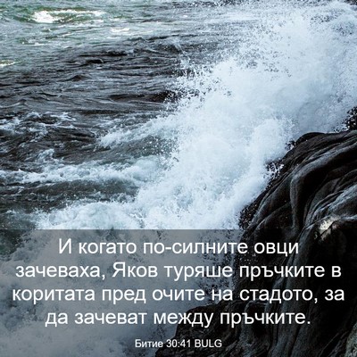 Picture 03 - Битие 30:41 BULG - И когато по-силните овци - Bible Verse Picture